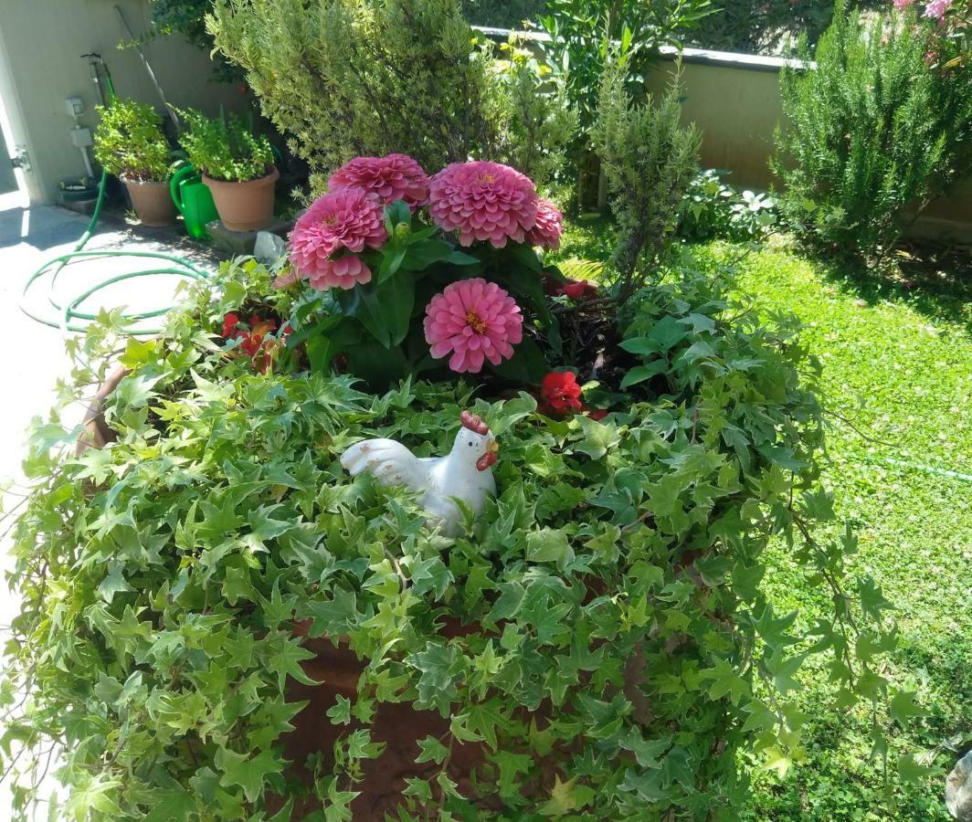 Appartamento Berlicche Agliana Dış mekan fotoğraf